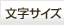 文字サイズ変更